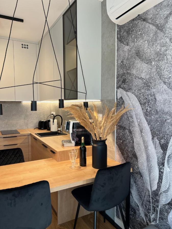Family & Business Elegant Apartments Ul Lotnicza Centrum Galeria Korona - 1 Bedroom, Terrace, Air Conditioning, Garage - New! Kielce Bagian luar foto